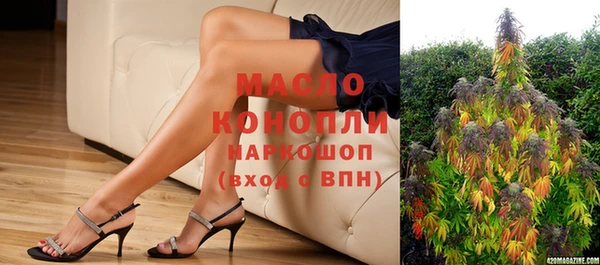индика Абинск