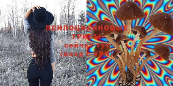 индика Абинск