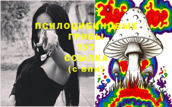 индика Абинск