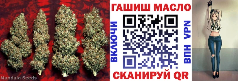 ТГК жижа  закладки  Сурск 